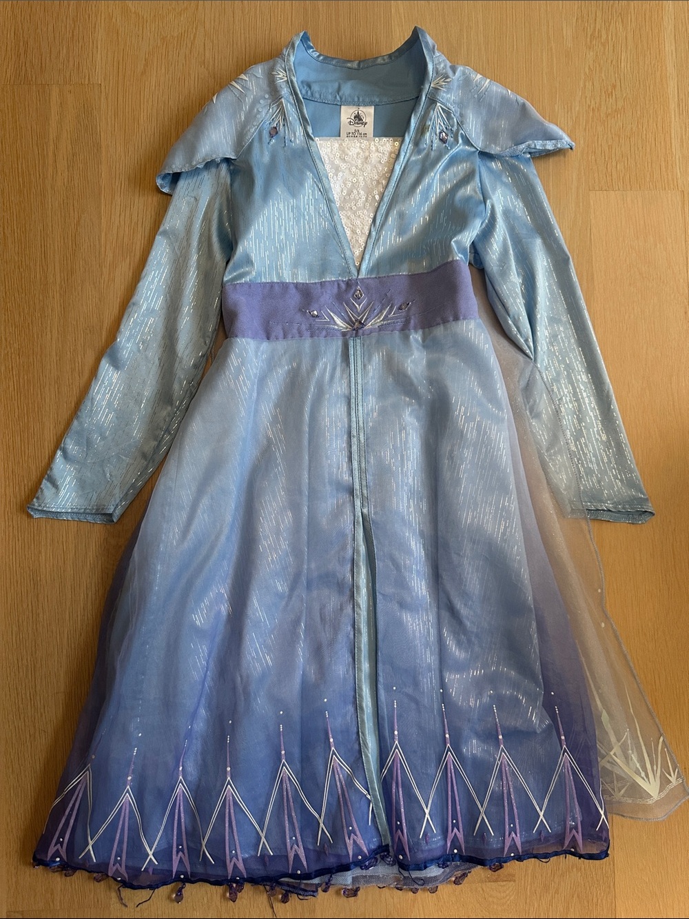 Disney Elsa Dress with Leggings